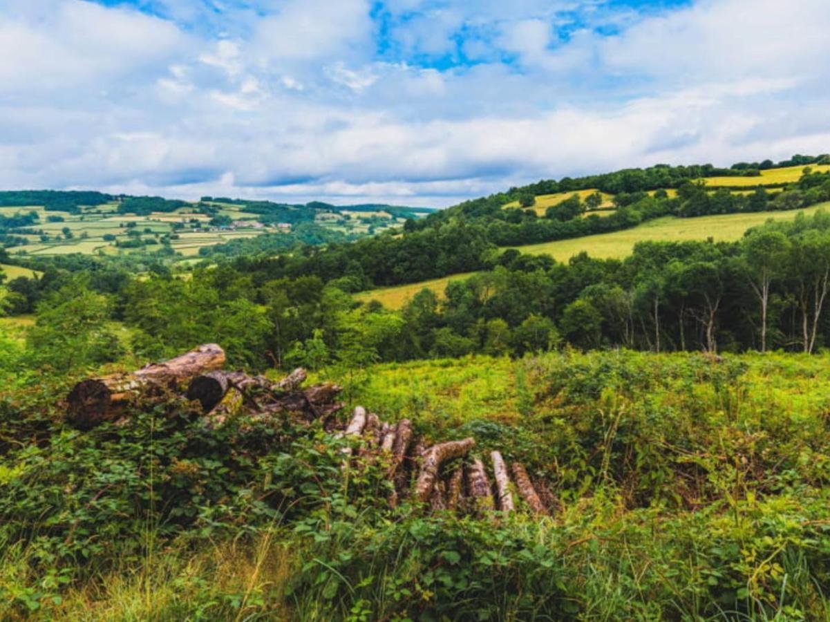Maison Bourgogne Шато-Шінон Екстер'єр фото